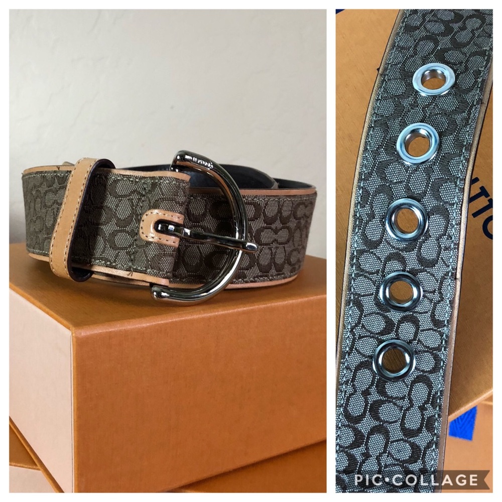 Coach belt
